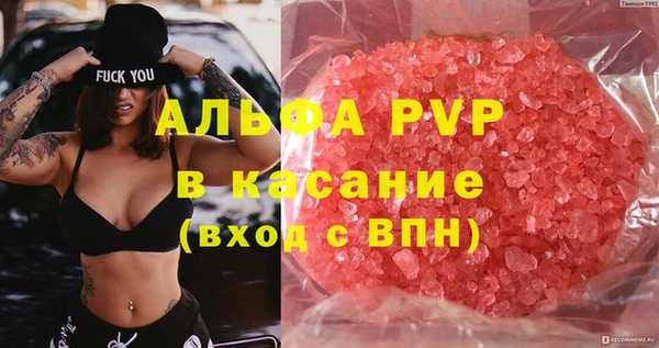 индика Лихославль