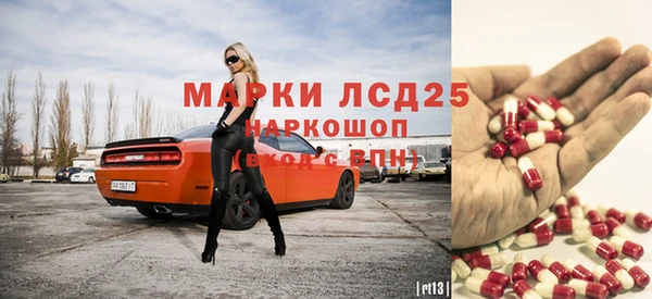 индика Лихославль