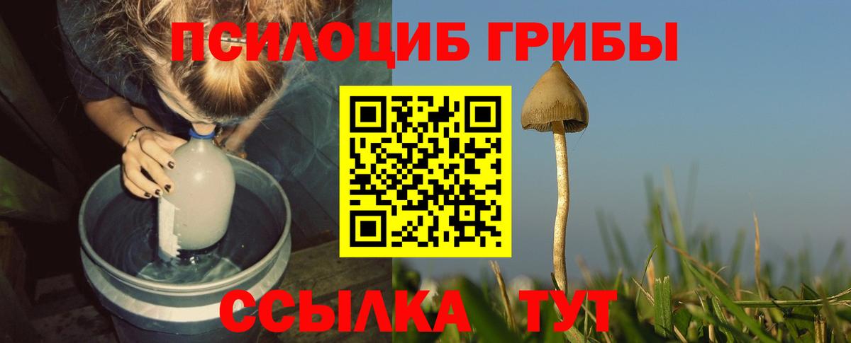 Галлюциногенные грибы Cubensis  Вход с VPN  Мыски 